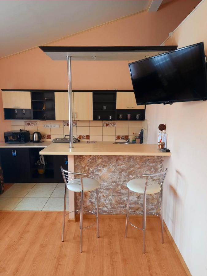 Studio apartments in center NEW 5 floor Ivano-Frankivsk Buitenkant foto